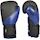 Ronin Punching Bokshandschoen - Zwart/Blauw